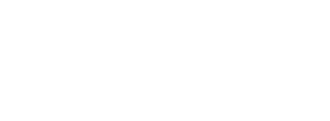 VISon